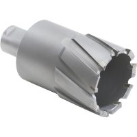 Walter Carbide Core Cut Annular Cutter 3/4-Inch Diameter x 2-Inch Depth
