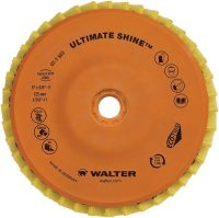 Walter Ultimate Shine Flap Disc 4.5 Inch with Hub