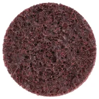 Walter 2-Inch Medium Non-Woven Quick-Change Disc