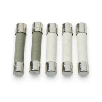 Miller 169296 Glass Fuse 25A 125V (Pack of 5)
