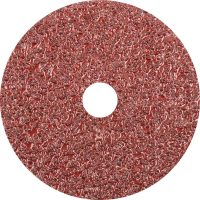 Pferd 5-Inch Aluminum Oxide Resin Fibre Disc 24 Grit